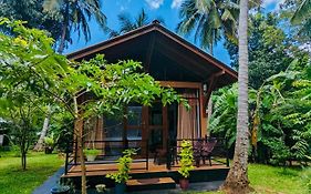 Mango Tree House